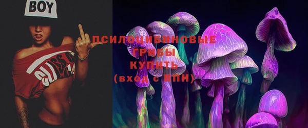 шишки Майский