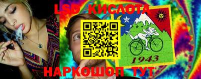 PSILOCYBIN Гусь-Хрустальный
