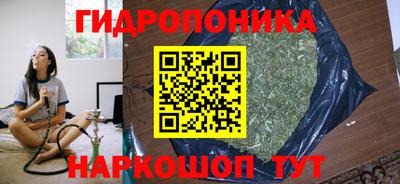 прущие грибы Гусев