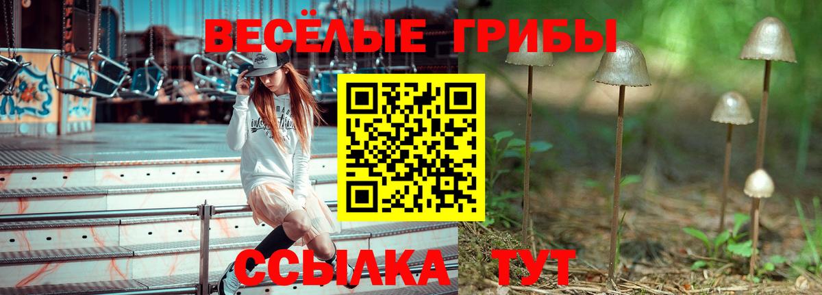 Псилоцибиновые грибы Psilocybine cubensis  Галлюциногенные грибы ЛСД  Вход с VPN  Мариинск 